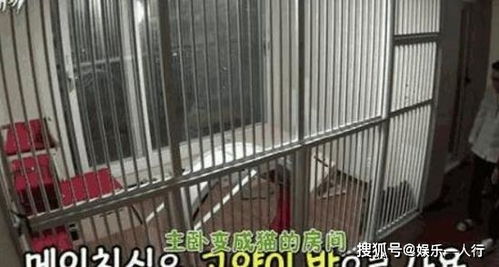 参观dok2在韩国的豪宅,家里用的是自动门,衣帽间塞得满满是衣服