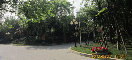 乐山豪华旋转门,圣达自动门,乐山旋转门