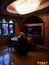 天鹅湾双拼豪华别墅前后大院自动门